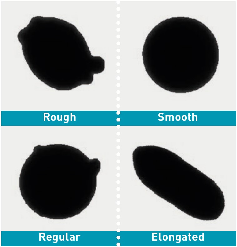 The Morphologi 4 provides clear images of metal particles shapes to evaluate particle irregularity and surface roughness